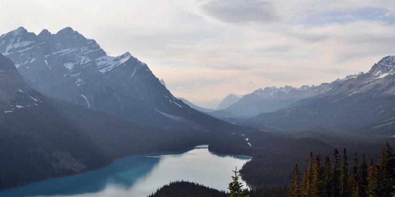 E源谷创业孵化3.2：导师指导如何成为科技创新的核心引擎