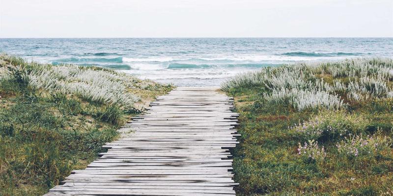 E源谷创业孵化模式解析：如何通过导师指导助力初创企业跨越国际化早期挑战