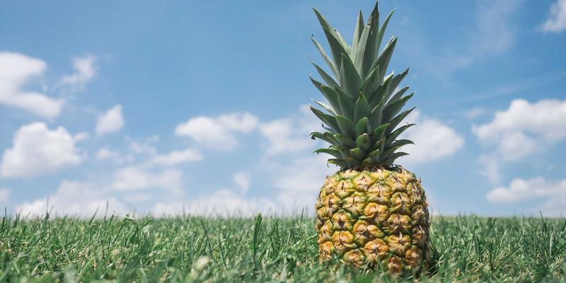 从0到1的创业孵化全流程解析：揭秘成功初创企业的背后推手