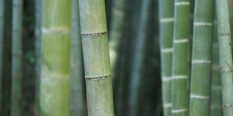 从导师指导到风险投资：深度解析创业孵化器的商业模式与可持续盈利路径