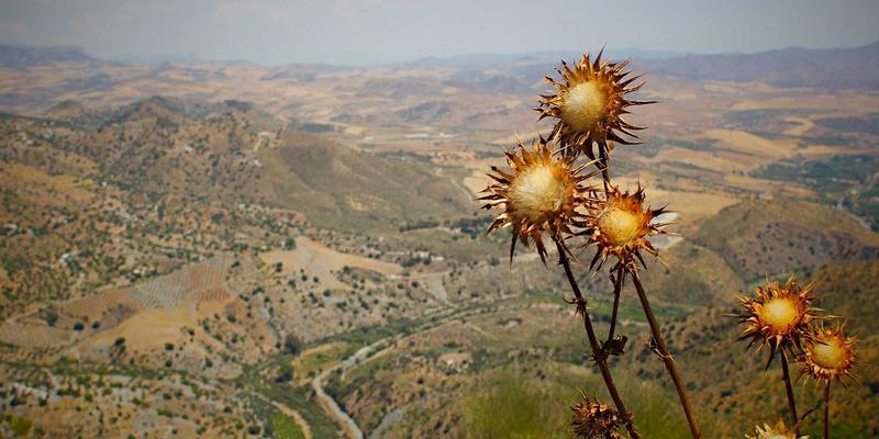 创业孵化3.0：科技创新如何重塑初创企业成长生态