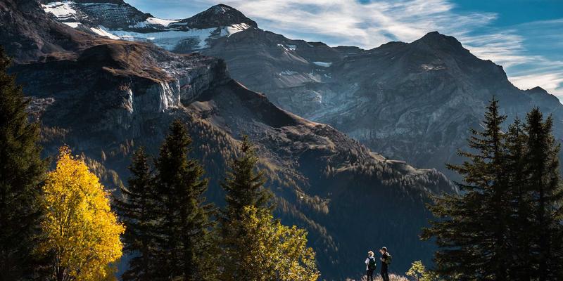 创业孵化4.0时代：导师指导与风险投资如何重塑创业生态