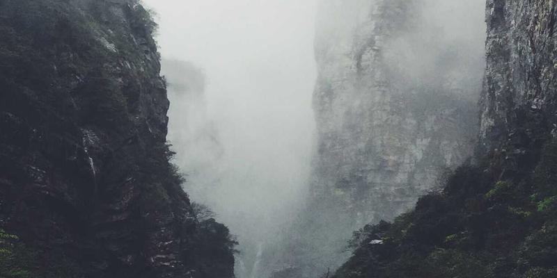 创业孵化55：解码初创企业如何借力风险投资实现科技创新突破