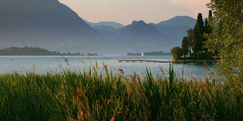 创业孵化 vs 风险投资:科技创新时代下初创企业的双引擎抉择