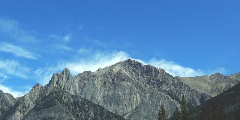 创业孵化中的知识产权战略：从专利布局到商业化保护，如何为初创企业赢得风险投资青睐