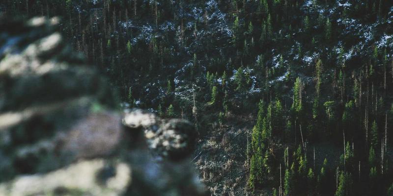 创业孵化器如何为初创企业提供专业的法律与合规支持，护航风险投资之路