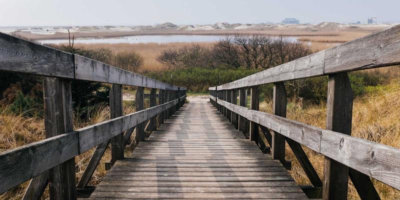 创业孵化器如何通过导师指导与风险投资,为初创企业插上双翼