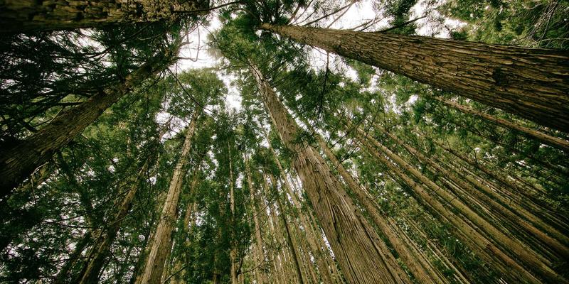 垂直行业孵化器崛起：E源谷如何通过导师指导与风险投资深度赋能金融科技与清洁能源