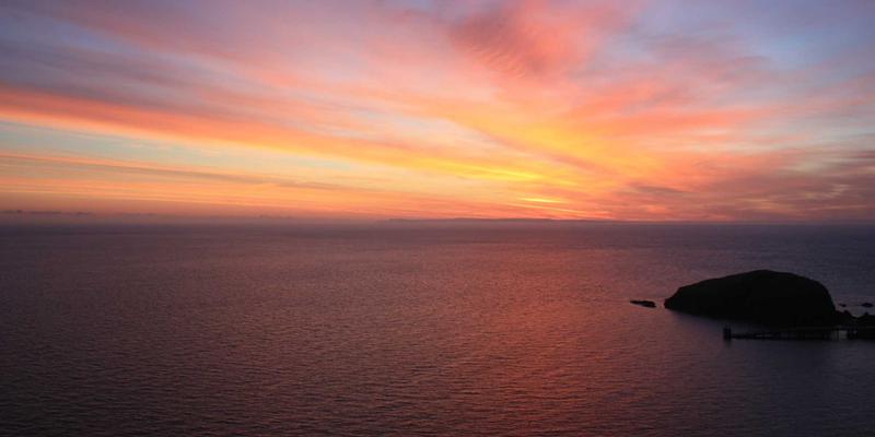 科技创新时代，创业孵化器如何通过投资服务与导师指导构建差异化核心竞争力