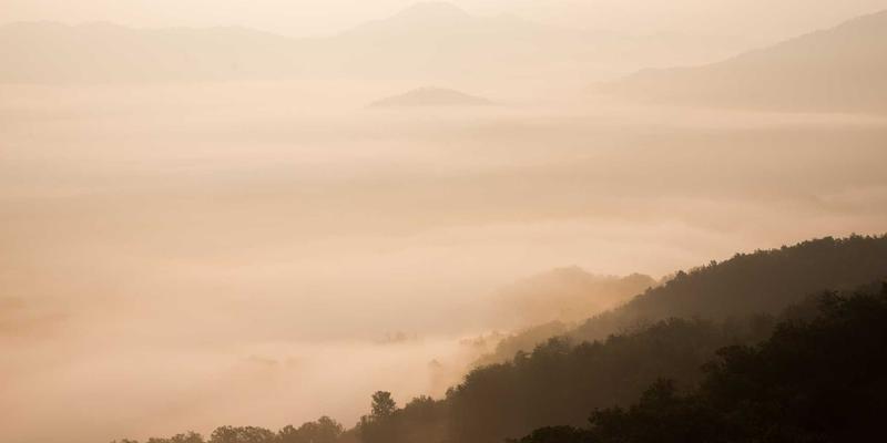 风险投资视角下的创业孵化：如何构建高效的导师指导体系